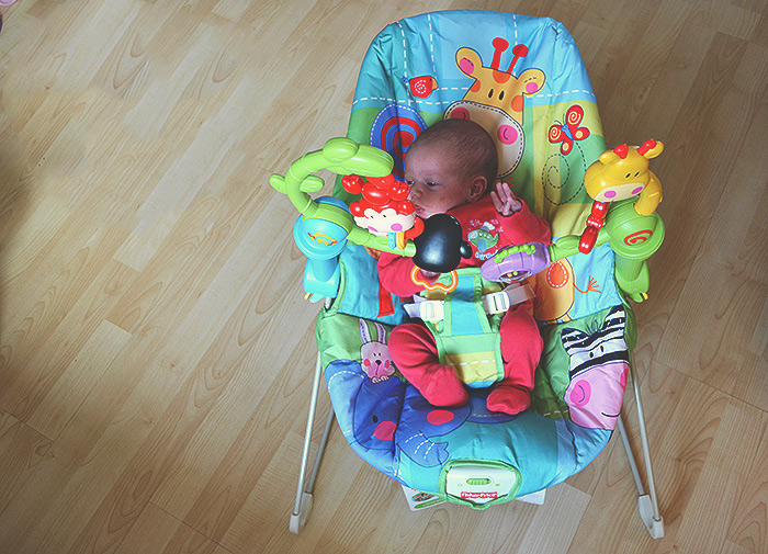 fisher price bouncer weight limit