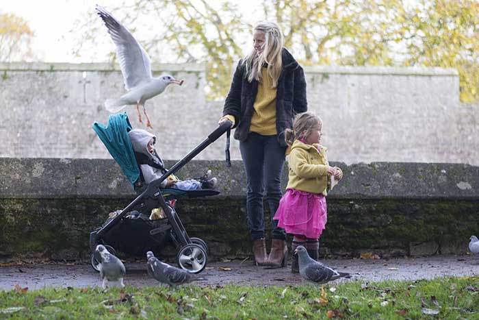 armadillo pushchair review