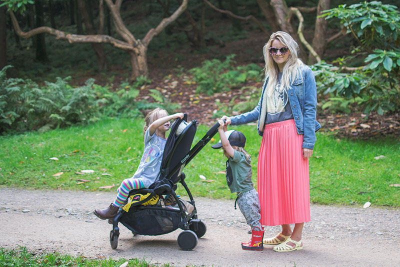 raspberry stroller